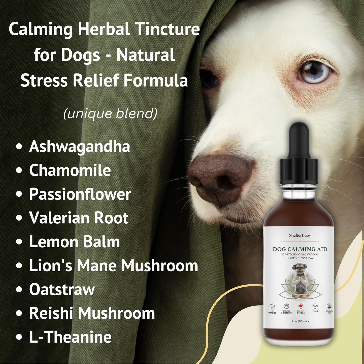 Organic Calming Drops for Dogs: Natural Anxiety Relief with Ashwagandha, Chamomile, Mushrooms – Homeopathic Remedy for Stress, Travel, and Sedation